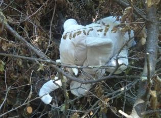 Featured Image -- 24125