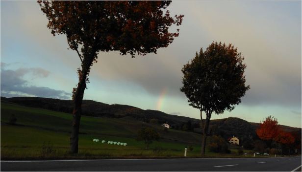 regenbogen